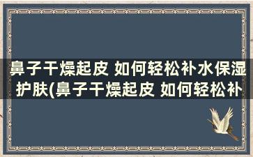 鼻子干燥起皮 如何轻松补水保湿护肤(鼻子干燥起皮 如何轻松补水保湿面膜)